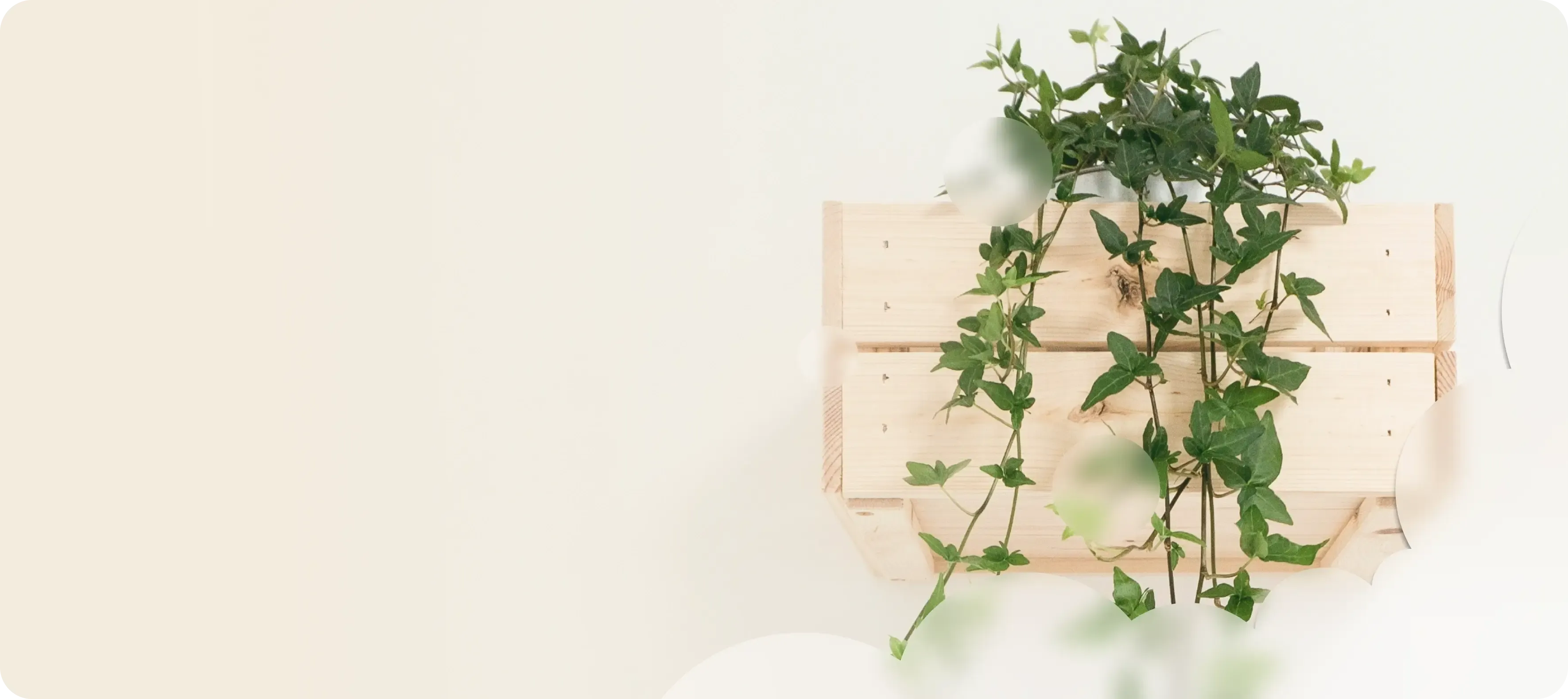 Greeny – профессиональная уборка в Тбилиси