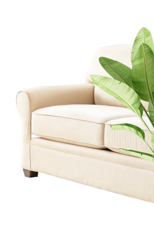 Осматриваем и
оцениваем состояния